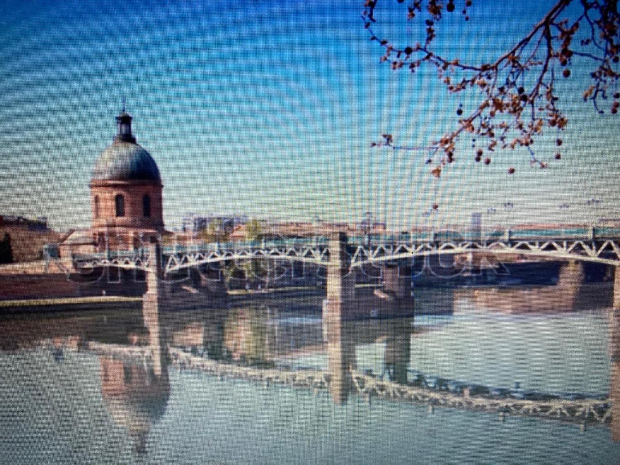 Le Saint Cyp - Toulouse - Appart Entier Cosy Et Au Calme, Proche Du Metro エクステリア 写真